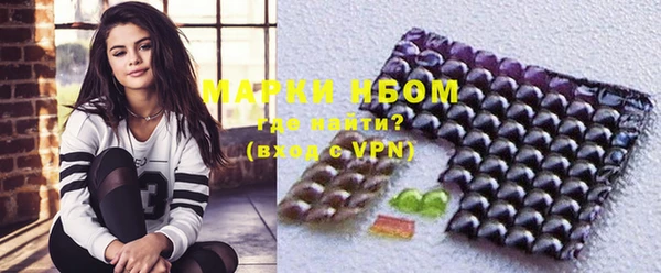 сатива Куйбышев