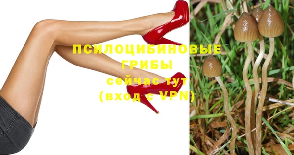 каннабис Ладушкин
